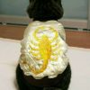 karsil avatar