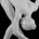 Crossfire13 avatar