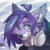 Fennecaust avatar