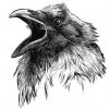 nahal78 avatar