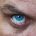 dmntv avatar