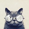 Norvild avatar
