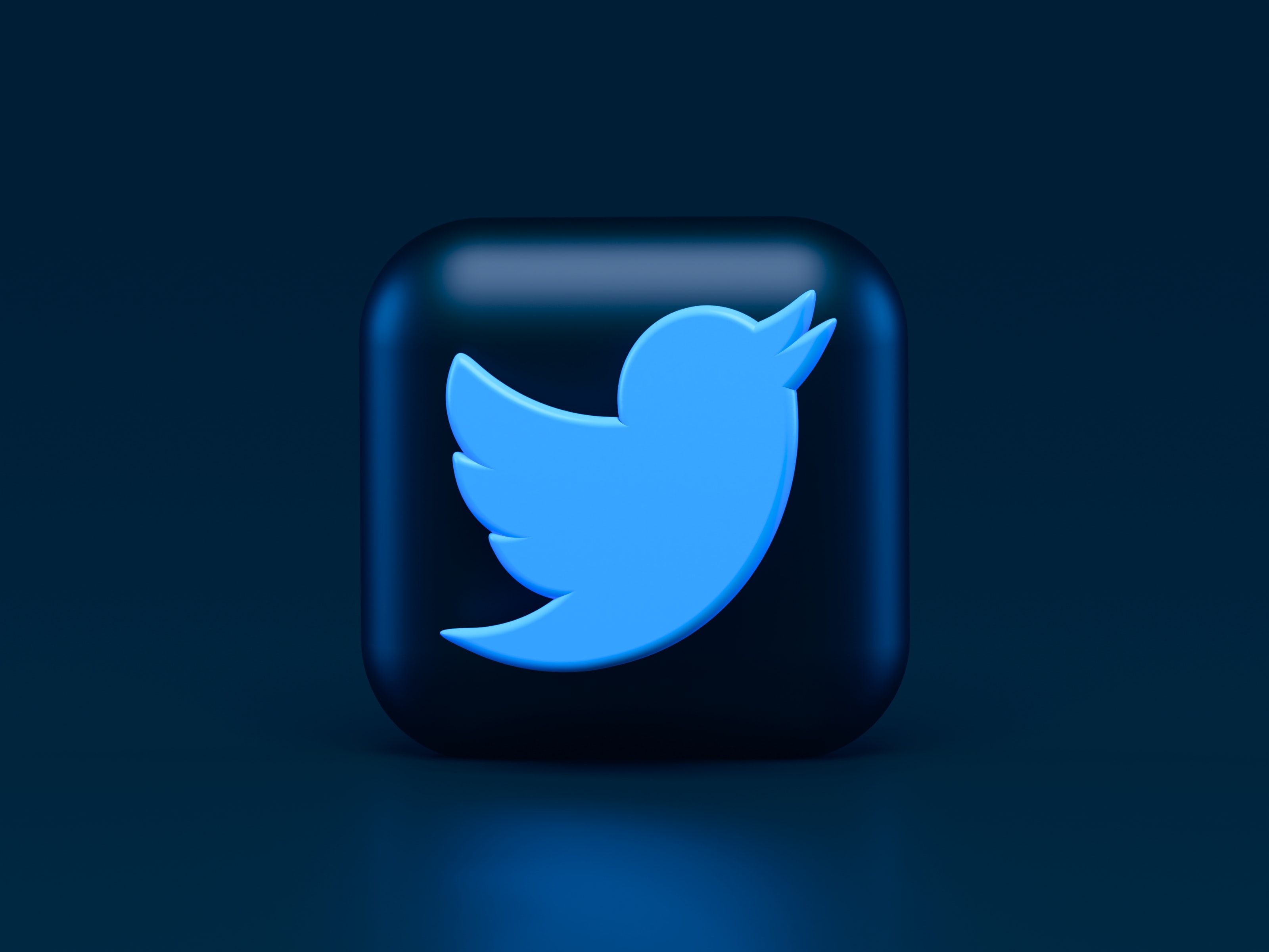 Twitter запустит подписку за 269 рублей в месяц. Можно отменять отправку твитов и кое-что ещё