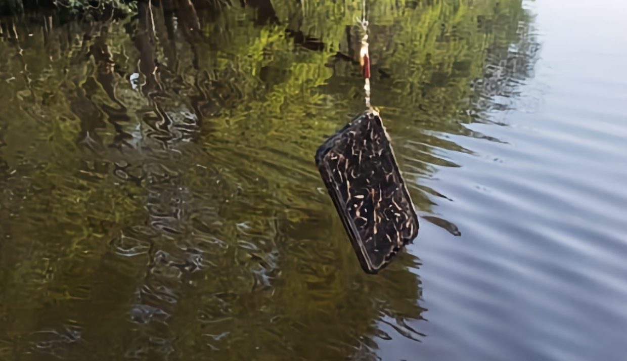 Американец ловил рыбу, а поймал iPhone. Владельца нашли по фотографии под чехлом