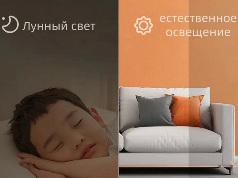 wp-image-1110960