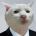kamolov avatar