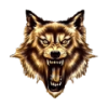 wik412 avatar