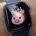 iGeorG avatar