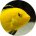 e-ch
