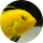 e-ch