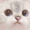 ogtruepac avatar