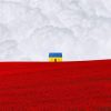 Igor Radysiuk avatar