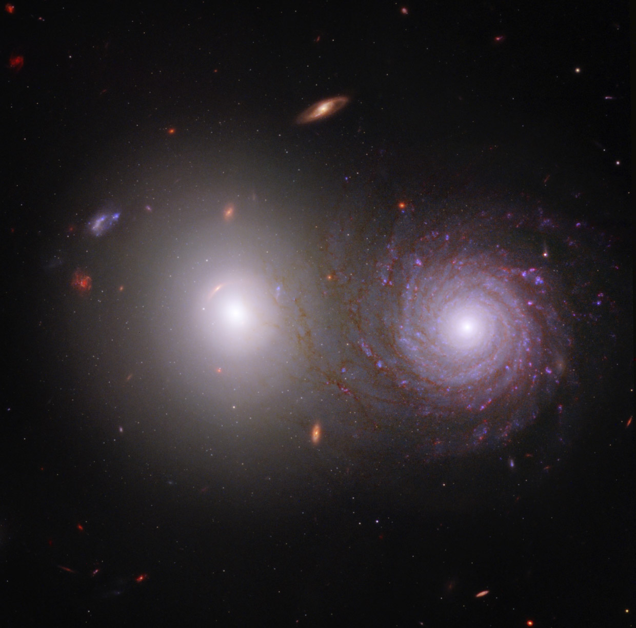 wp-image-1173881