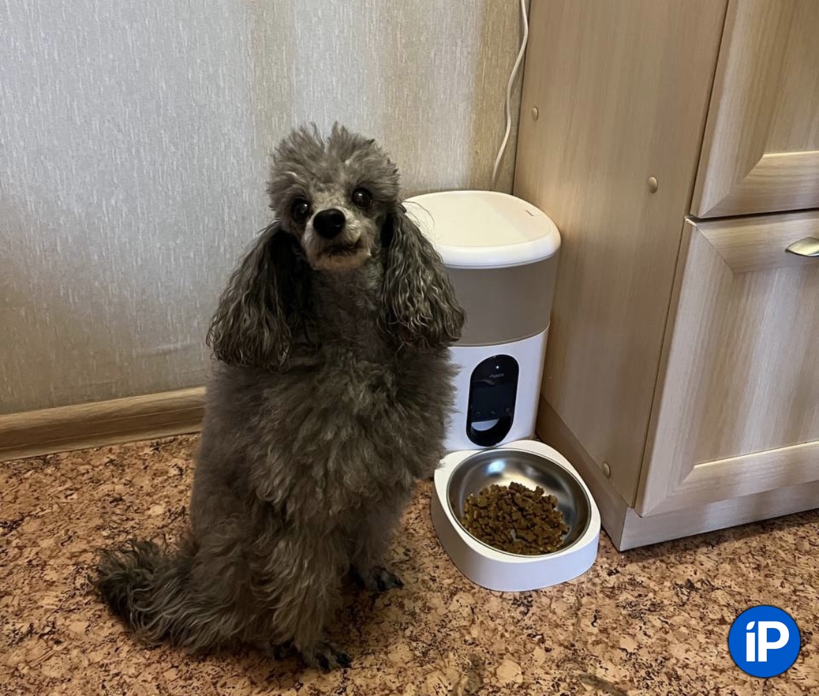 Обзор умной кормушки Aqara Smart Pet Feeder C1 для собак. Дистанционно покормит, даже по расписанию