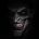 doppegangrel avatar