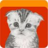 aliprofi avatar
