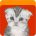 aliprofi avatar