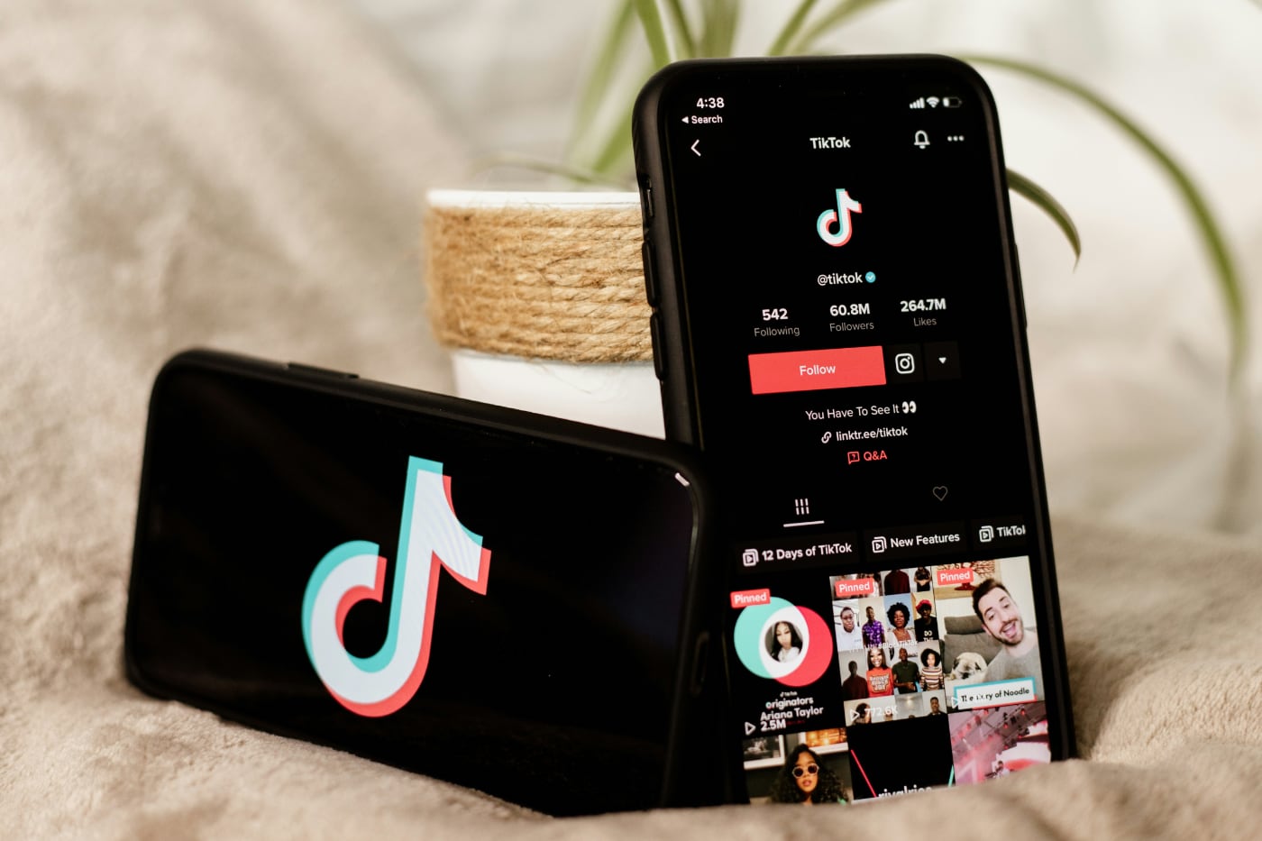TikTok разрабатывает новое приложение TikTok Photos. Это аналог Instagram*