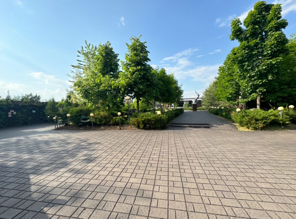 wp-image-1261628