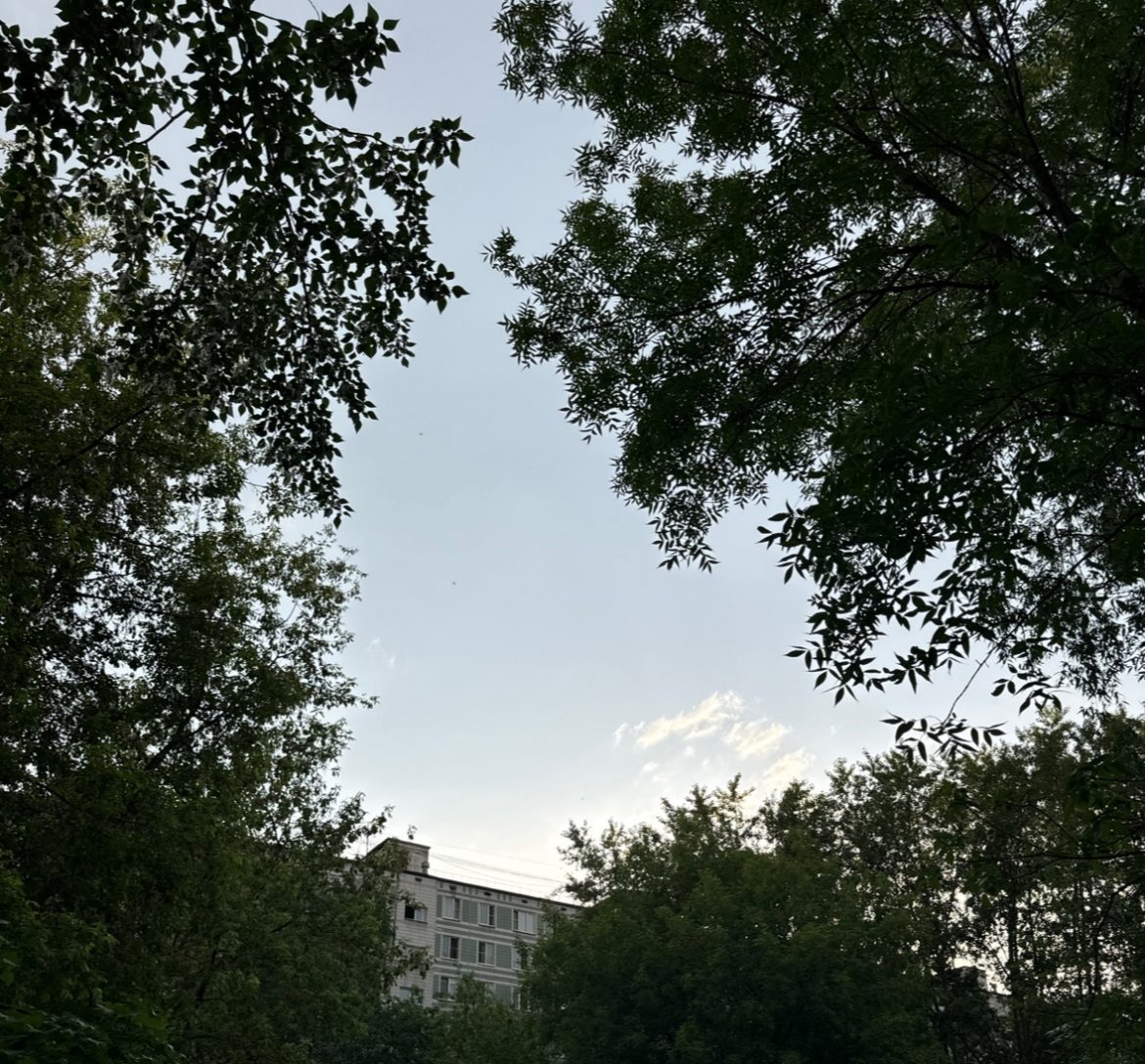 wp-image-1261629