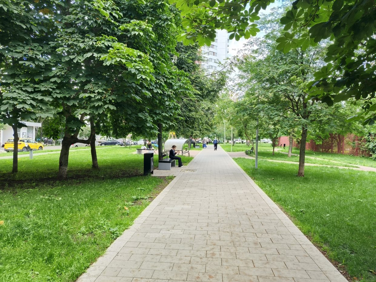 wp-image-1263910