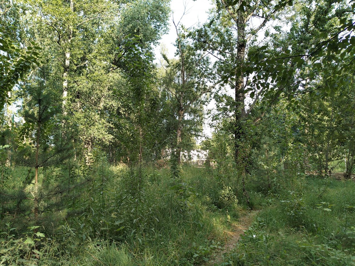 wp-image-1265401