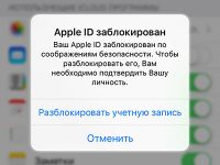 Артём Суровцев
