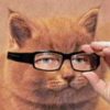 Моня М. avatar