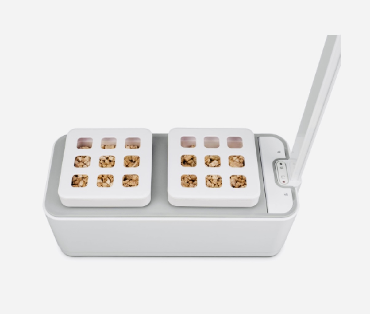wp-image-1311391