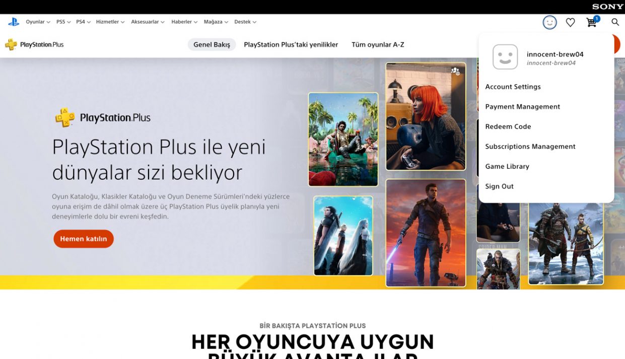 wp-image-1311983