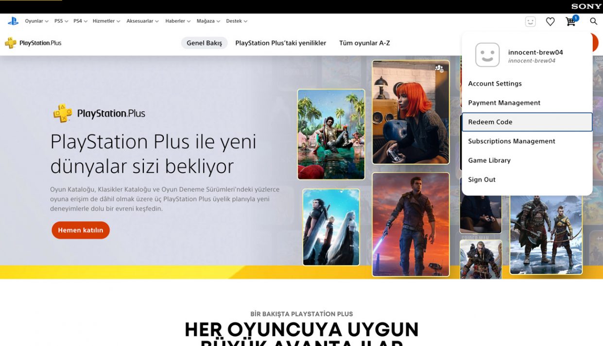 wp-image-1311984