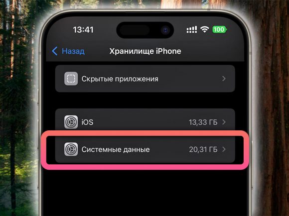 Нашёл способ освободить место на iPhone, ничего не удаляя. Очищаем Другое в iOS