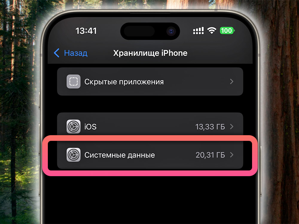 Нашёл способ освободить место на iPhone, ничего не удаляя. Очищаем Другое в iOS