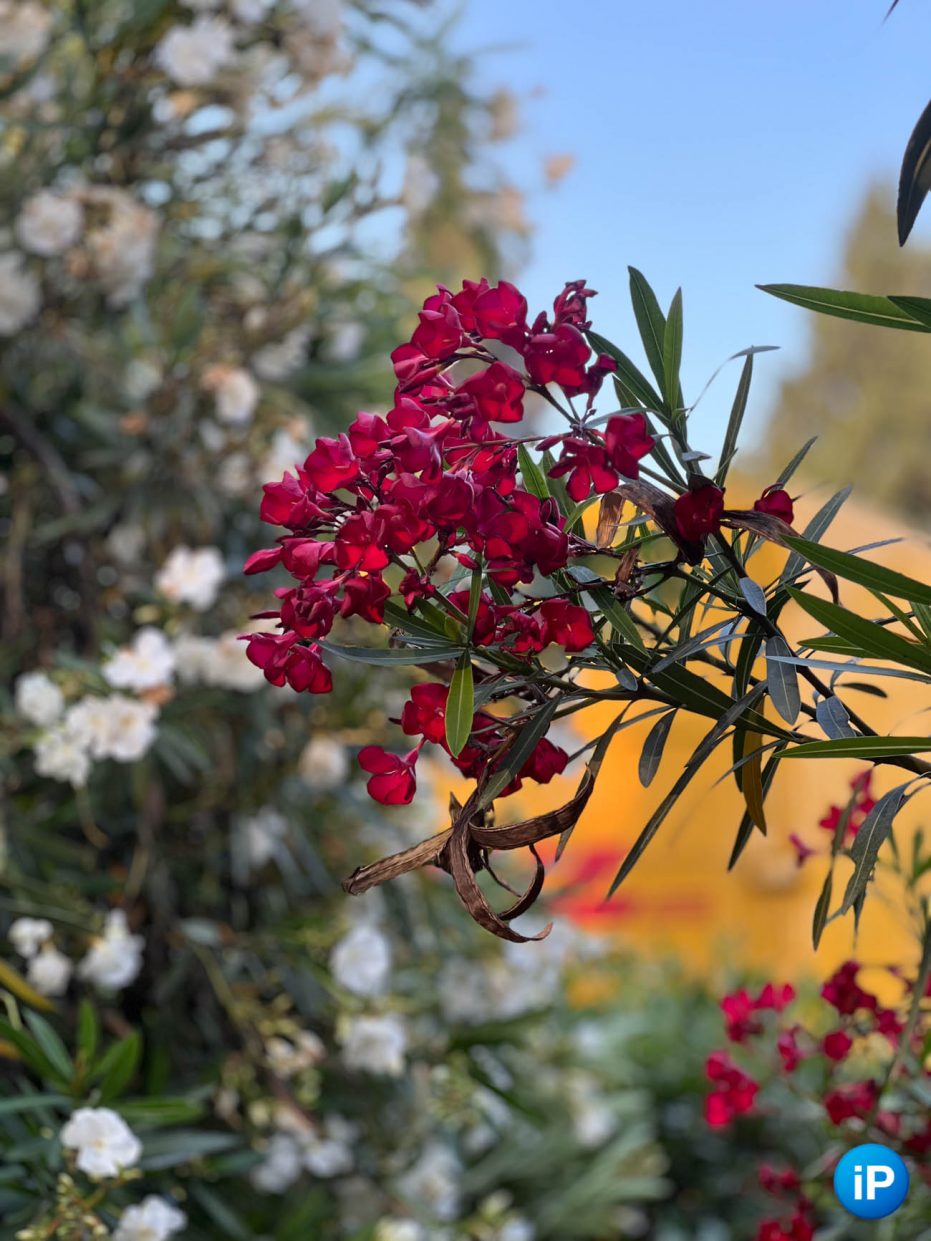 wp-image-1330220