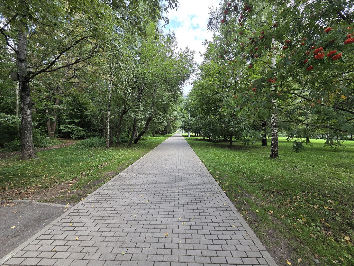 wp-image-1332367