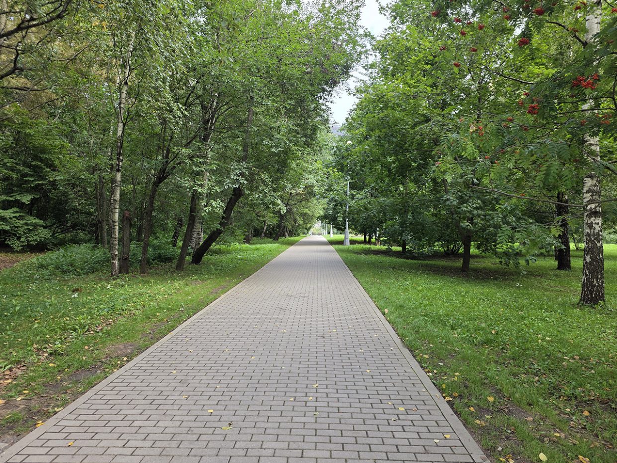 wp-image-1332369