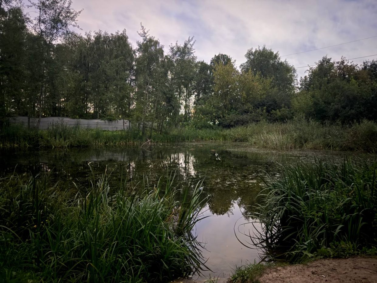 wp-image-1330545
