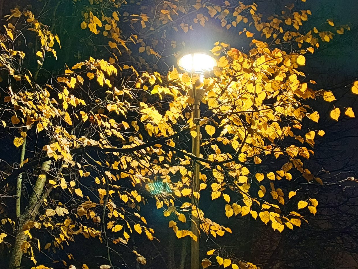 wp-image-1341831