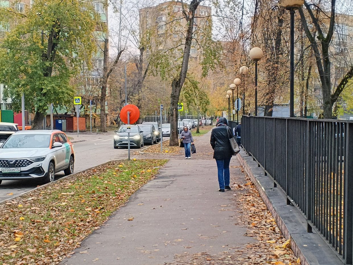 wp-image-1341829
