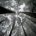 silent_nook avatar