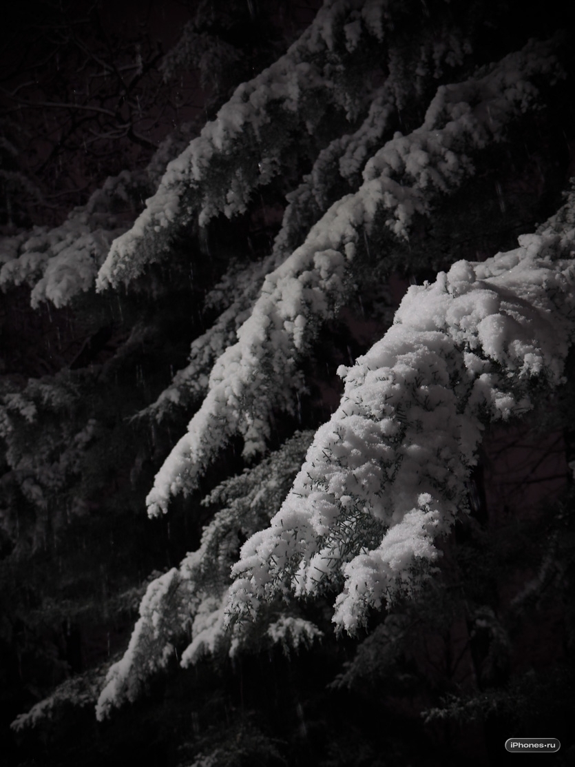 wp-image-1360445