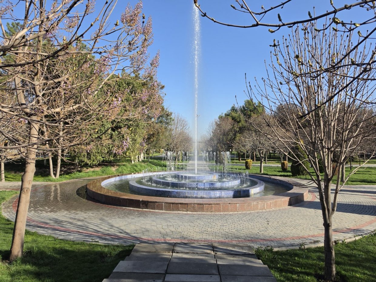 wp-image-1365598
