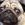 AngryMops
