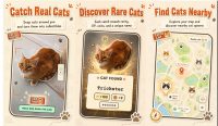 Pokémon Go на новый лад. Вышло приложение CatchCat для фотографирования котов: из них собираются коллекционные карточки и повышается уровень игрока