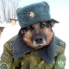 mihail1993 avatar