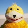 Mr. Yellow avatar
