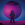 purplerus