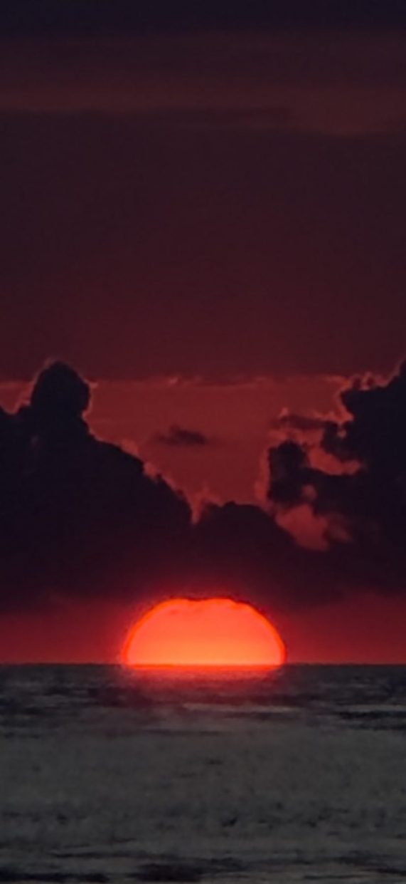 wp-image-1378354