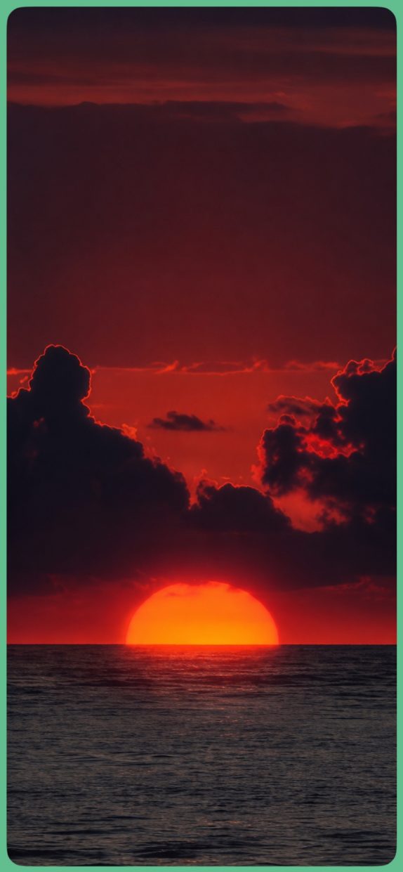 wp-image-1378308