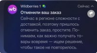 Wildberries начал отменять заказы из-за проблем с топливом в России